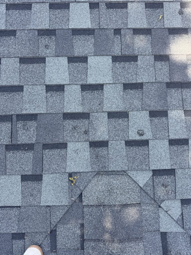 IMG 7607