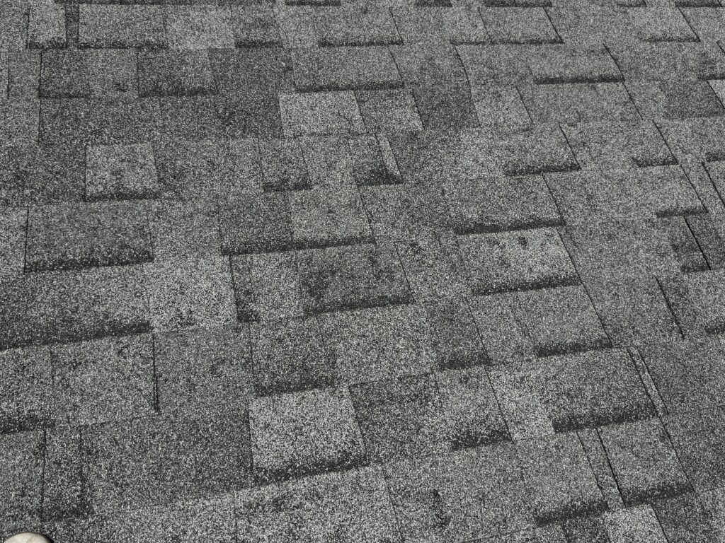 IMG 7650 1